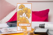 Sizzix Stamp Set By Stacey Park - Cosmopolitan Inspire